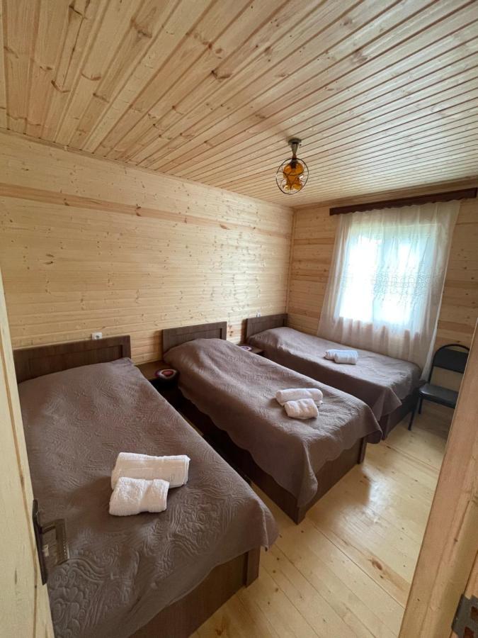 Maison d'hôtes Warm House à Kazbegi Extérieur photo
